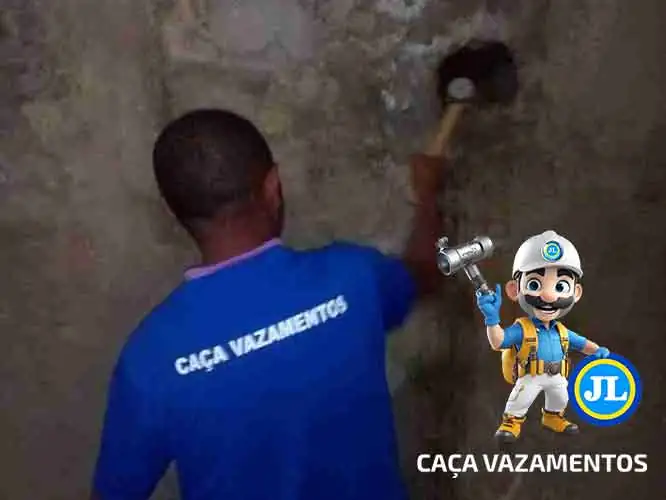 Detecção profissional de vazamento JL