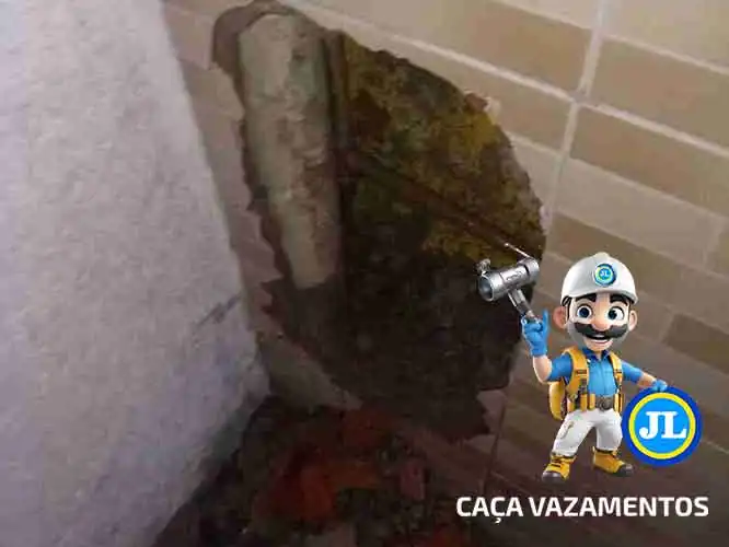 Serviço profissional de reparo de vazamento JL