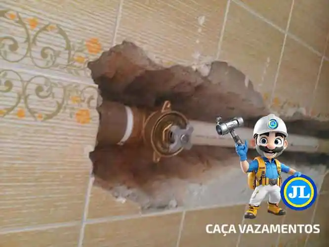 Serviços de conserto de vazamentos com laudo