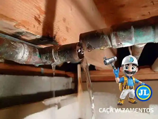 Técnico de caça vazamento Centro São Paulo