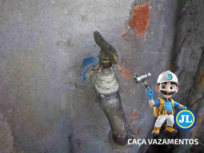Caça vazamento Zona Norte