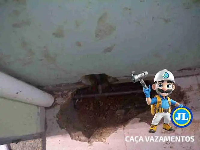 Serviços de detecção de vazamentos Santana SP