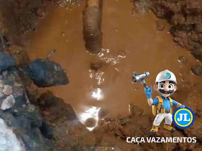 Serviços de reparo de vazamento JL