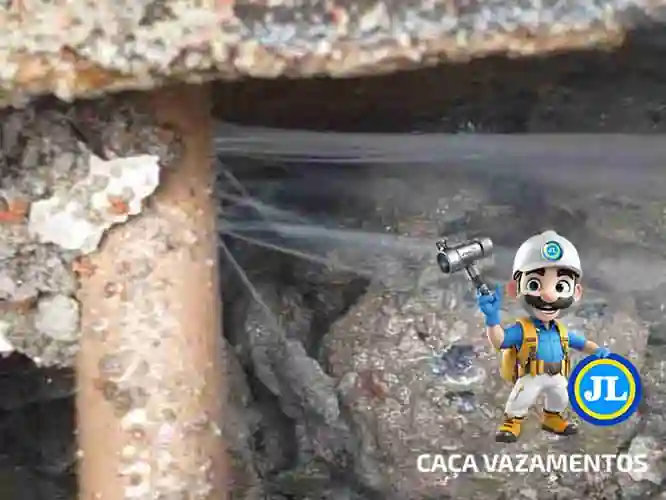 Detecção profissional de vazamento JL