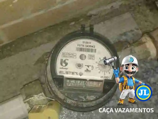Caça vazamento Moema
