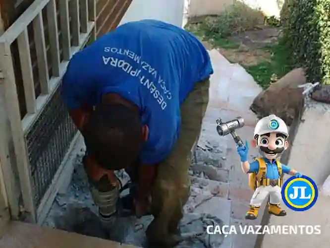 Serviço profissional de detecção de vazamento