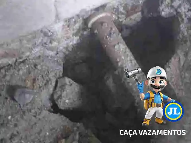 Detecção profissional de vazamento